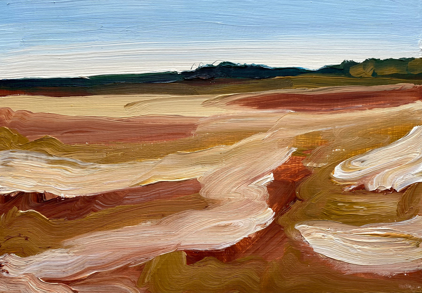 Golden Fields of Wheat