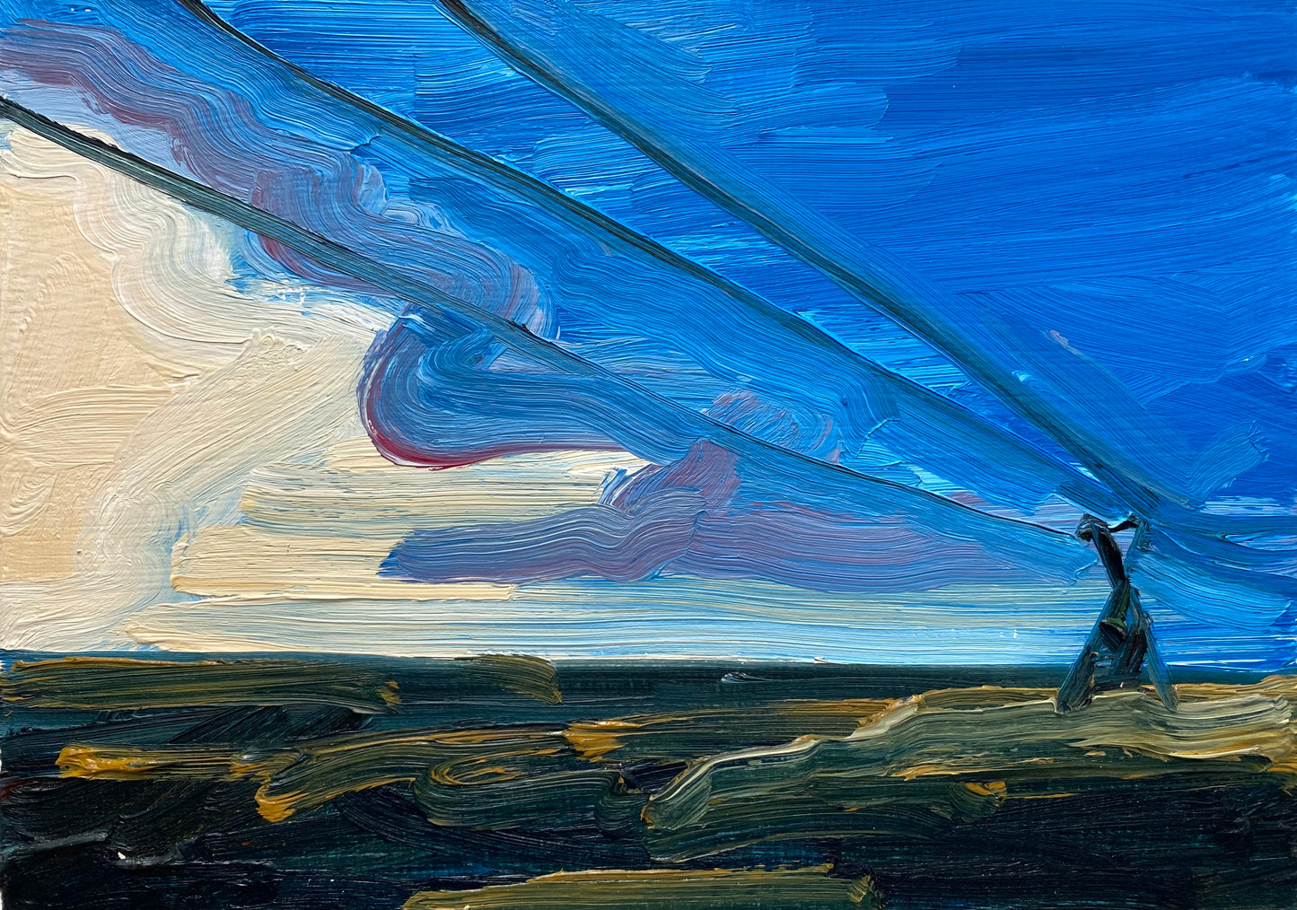 Transmission Lines over the Marsh